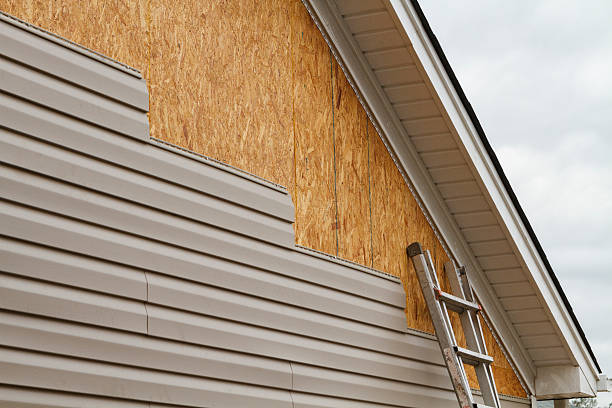 Best Fiber Cement Siding Installation  in Camden, TN